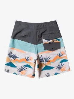 Quiksilver Surfsilk Panel 18" - Boardshort Pour Homme -Surf Soldes eqybs04780 quiksilverf kzm7 bck1