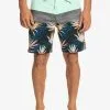 Quiksilver Surfsilk Panel 18" - Boardshort Pour Homme