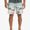 Quiksilver Surfsilk Panel 18" - Boardshort Pour Homme