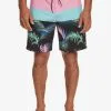 Quiksilver Surfsilk Panel 18" - Boardshort Pour Homme