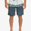 Quiksilver Surfsilk Panel 18" - Boardshort Pour Homme