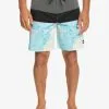Quiksilver Surfsilk Panel 18" - Boardshort Pour Homme