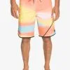 Quiksilver Surfsilk New Wave 20" - Boardshort Pour Homme