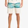 Quiksilver Surfsilk Air Brush 19" - Boardshort Pour Homme