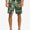 Quiksilver Blank Canvas Gregg Kaplan Scallop 18" - Boardshort Pour Homme