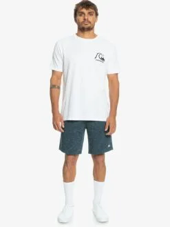 Quiksilver Bayrise - Short En Molleton Pour Homme -Surf Soldes eqyfb03322 quiksilverw bsl0 frt9