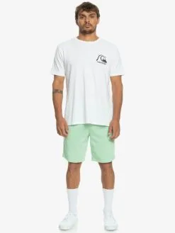 Quiksilver Bayrise - Short En Molleton Pour Homme -Surf Soldes eqyfb03322 quiksilverw gfe0 frt9