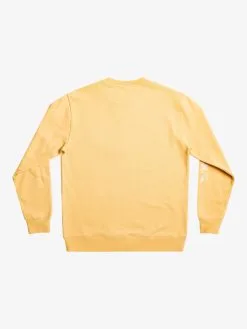 Quiksilver The Original - Sweat Pour Homme -Surf Soldes eqyft04738 quiksilverf ygy0 bck1