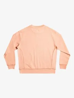 Quiksilver Trip Away - Sweat Pour Homme -Surf Soldes eqyft04746 quiksilverf tjb0 bck1