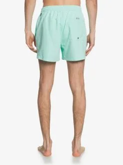Quiksilver Everyday 15" - Short De Bain Pour Homme -Surf Soldes eqyjv03531 everydayvolley15w gcz0 bck1