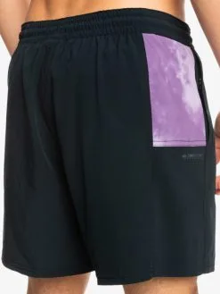 Quiksilver High Training 17" 2022 - Short De Sport Pour Homme -Surf Soldes eqyjv03930 quiksilverw kvj0 bck2