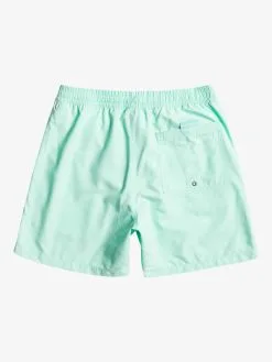 Quiksilver Everyday Vert 16" - Short De Bain Pour Homme -Surf Soldes eqyjv03987 quiksilverf gcz0 bck1