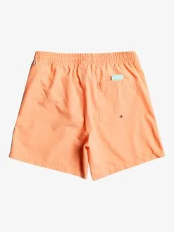 Quiksilver Everyday Vert 16" - Short De Bain Pour Homme -Surf Soldes eqyjv03987 quiksilverf mhv0 bck1