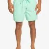 Quiksilver Everyday Vert 16" - Short De Bain Pour Homme
