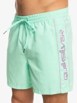 Quiksilver Everyday Vert 16" - Short De Bain Pour Homme -Surf Soldes eqyjv03987 quiksilverw gcz0 frt3