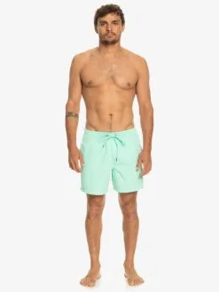 Quiksilver Everyday Vert 16" - Short De Bain Pour Homme -Surf Soldes eqyjv03987 quiksilverw gcz0 frt9