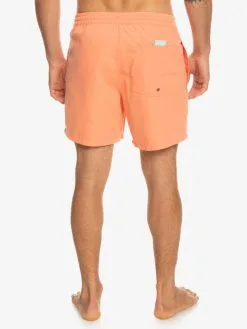 Quiksilver Everyday Vert 16" - Short De Bain Pour Homme -Surf Soldes eqyjv03987 quiksilverw mhv0 bck1