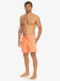 Quiksilver Everyday Vert 16" - Short De Bain Pour Homme -Surf Soldes eqyjv03987 quiksilverw mhv0 frt9
