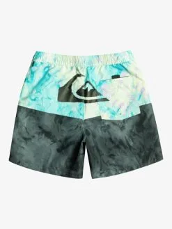 Quiksilver Butt Logo 17" - Short De Bain Pour Homme 17 Quiksilver Butt Logo 17" - Short De Bain Pour Homme -Surf Soldes eqyjv03994 quiksilverf kvj6 bck1