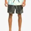 Quiksilver Butt Logo 17" - Short De Bain Pour Homme