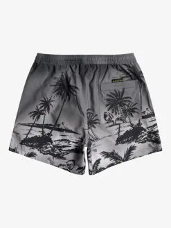 Quiksilver Everyday Paradise 15" - Short De Bain Pour Homme -Surf Soldes eqyjv03999 quiksilverf kvj6 bck1