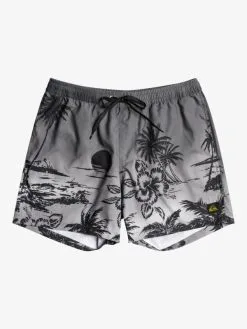 Quiksilver Everyday Paradise 15" - Short De Bain Pour Homme -Surf Soldes eqyjv03999 quiksilverf kvj6 frt1