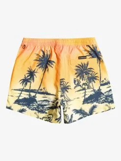 Quiksilver Everyday Paradise 15" - Short De Bain Pour Homme -Surf Soldes eqyjv03999 quiksilverf mhv6 bck1