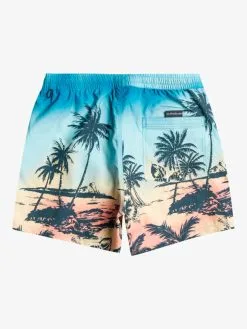Quiksilver Everyday Paradise 15" - Short De Bain Pour Homme -Surf Soldes eqyjv03999 quiksilverf yfb6 bck1