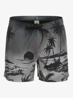 Quiksilver Everyday Paradise 15" - Short De Bain Pour Homme -Surf Soldes eqyjv03999 quiksilverv kvj6 frt1