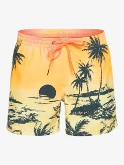 Quiksilver Everyday Paradise 15" - Short De Bain Pour Homme -Surf Soldes eqyjv03999 quiksilverv mhv6 frt1