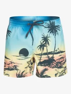 Quiksilver Everyday Paradise 15" - Short De Bain Pour Homme -Surf Soldes eqyjv03999 quiksilverv yfb6 frt1