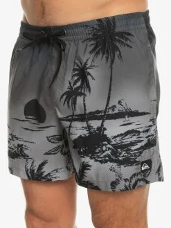 Quiksilver Everyday Paradise 15" - Short De Bain Pour Homme -Surf Soldes eqyjv03999 quiksilverw kvj6 frt3