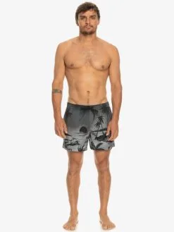 Quiksilver Everyday Paradise 15" - Short De Bain Pour Homme -Surf Soldes eqyjv03999 quiksilverw kvj6 frt9