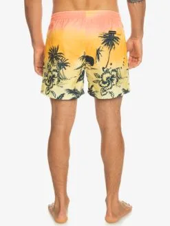 Quiksilver Everyday Paradise 15" - Short De Bain Pour Homme -Surf Soldes eqyjv03999 quiksilverw mhv6 bck1