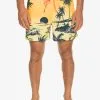 Quiksilver Everyday Paradise 15" - Short De Bain Pour Homme