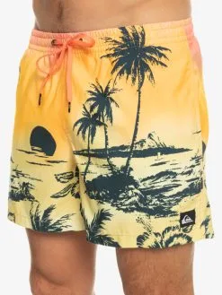 Quiksilver Everyday Paradise 15" - Short De Bain Pour Homme -Surf Soldes eqyjv03999 quiksilverw mhv6 frt3