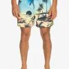 Quiksilver Everyday Paradise 15" - Short De Bain Pour Homme