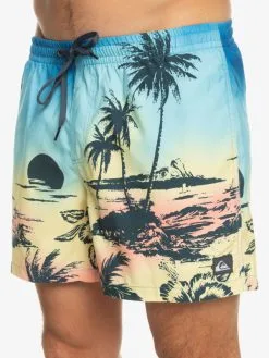 Quiksilver Everyday Paradise 15" - Short De Bain Pour Homme -Surf Soldes eqyjv03999 quiksilverw yfb6 frt3