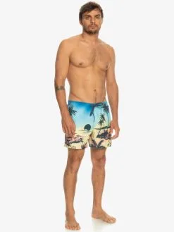 Quiksilver Everyday Paradise 15" - Short De Bain Pour Homme -Surf Soldes eqyjv03999 quiksilverw yfb6 frt9