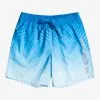 Quiksilver Everyday Warped Logo 17" - Short De Bain Pour Homme