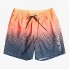Quiksilver Everyday Warped Logo 17" - Short De Bain Pour Homme