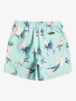 Quiksilver Everyday Mix 17" - Short De Bain Pour Homme -Surf Soldes eqyjv04002 quiksilverf gcz6 bck1