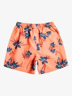 Quiksilver Everyday Mix 17" - Short De Bain Pour Homme -Surf Soldes eqyjv04002 quiksilverf mhv6 bck1