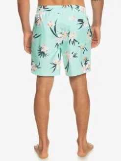 Quiksilver Everyday Mix 17" - Short De Bain Pour Homme -Surf Soldes eqyjv04002 quiksilverw gcz6 bck1