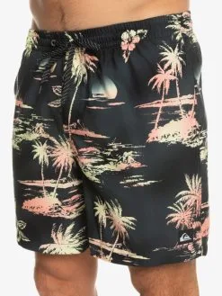 Quiksilver Everyday Mix 17" - Short De Bain Pour Homme -Surf Soldes eqyjv04002 quiksilverw kvj6 frt3