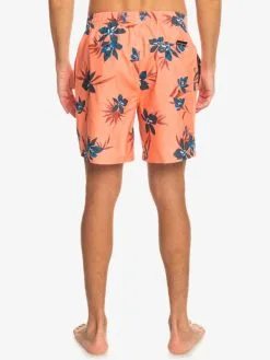 Quiksilver Everyday Mix 17" - Short De Bain Pour Homme -Surf Soldes eqyjv04002 quiksilverw mhv6 bck1
