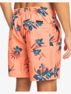 Quiksilver Everyday Mix 17" - Short De Bain Pour Homme -Surf Soldes eqyjv04002 quiksilverw mhv6 bck2