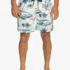 Quiksilver Everyday Mix 17" - Short De Bain Pour Homme