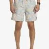 Quiksilver Re-Mix 17" - Short De Bain Pour Homme