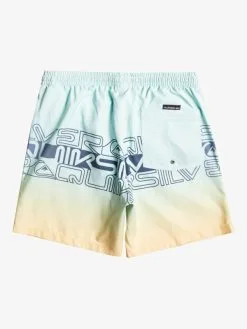 Quiksilver Everyday Wordblock 17" - Short De Bain Pour Homme -Surf Soldes eqyjv04005 quiksilverf gcz6 bck1